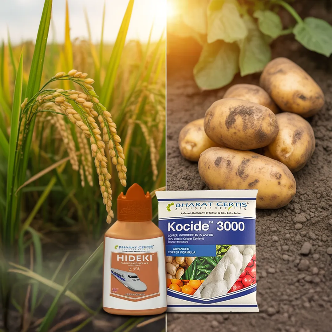 Best Fungicide for Rice and Potato Farming to Control Sheath Blight and Black Scurf