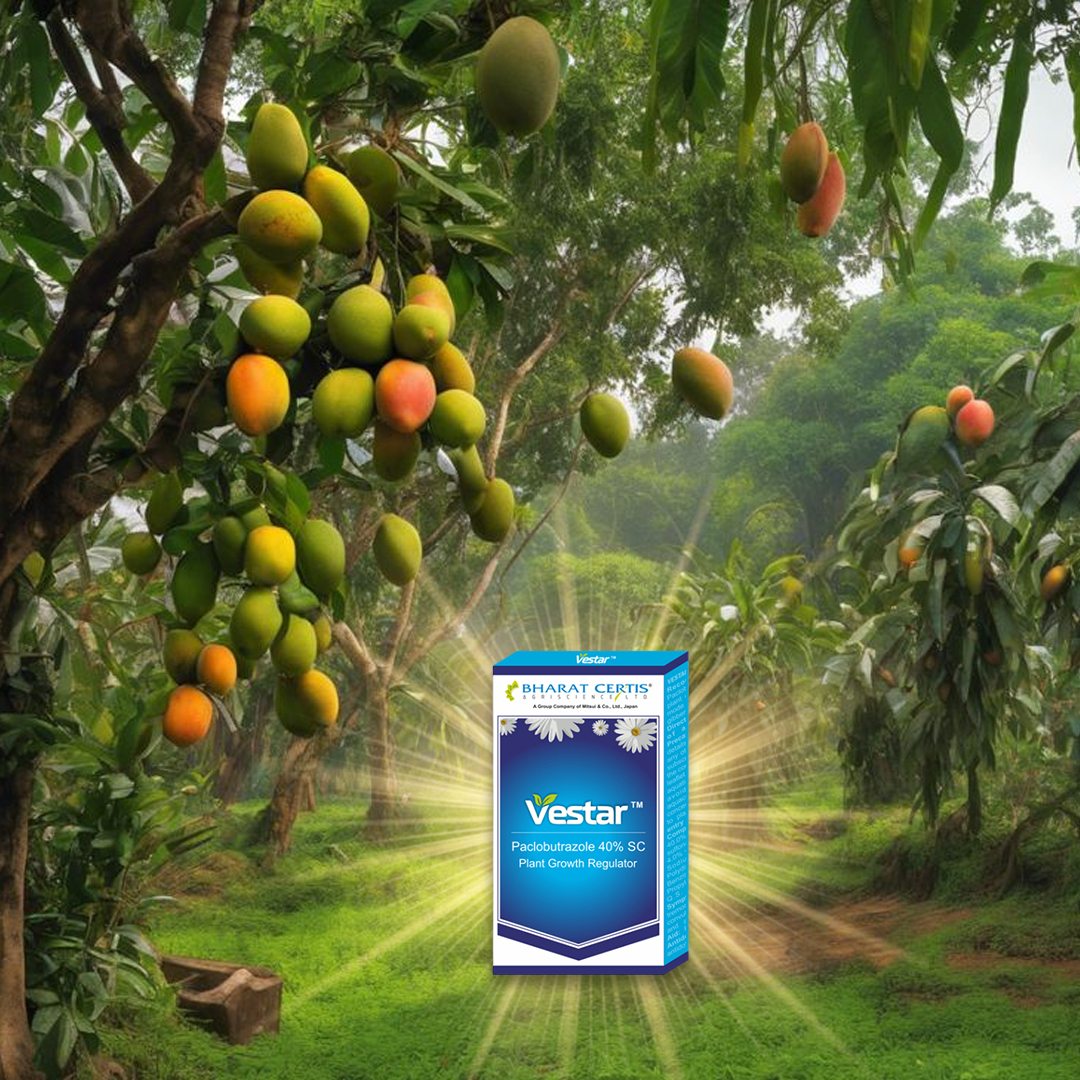 Vestar Plant Growth Regulator