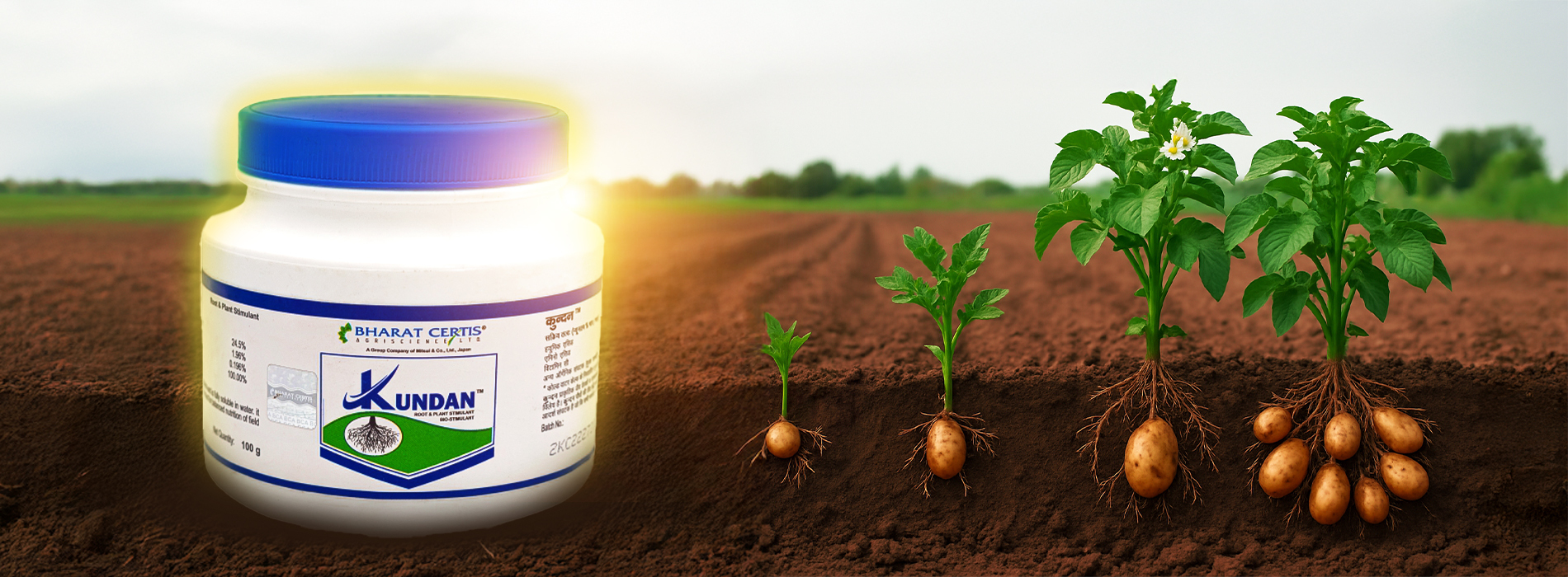 Kundan: Powering Growth of Tomato, Sugarcane, and Potato