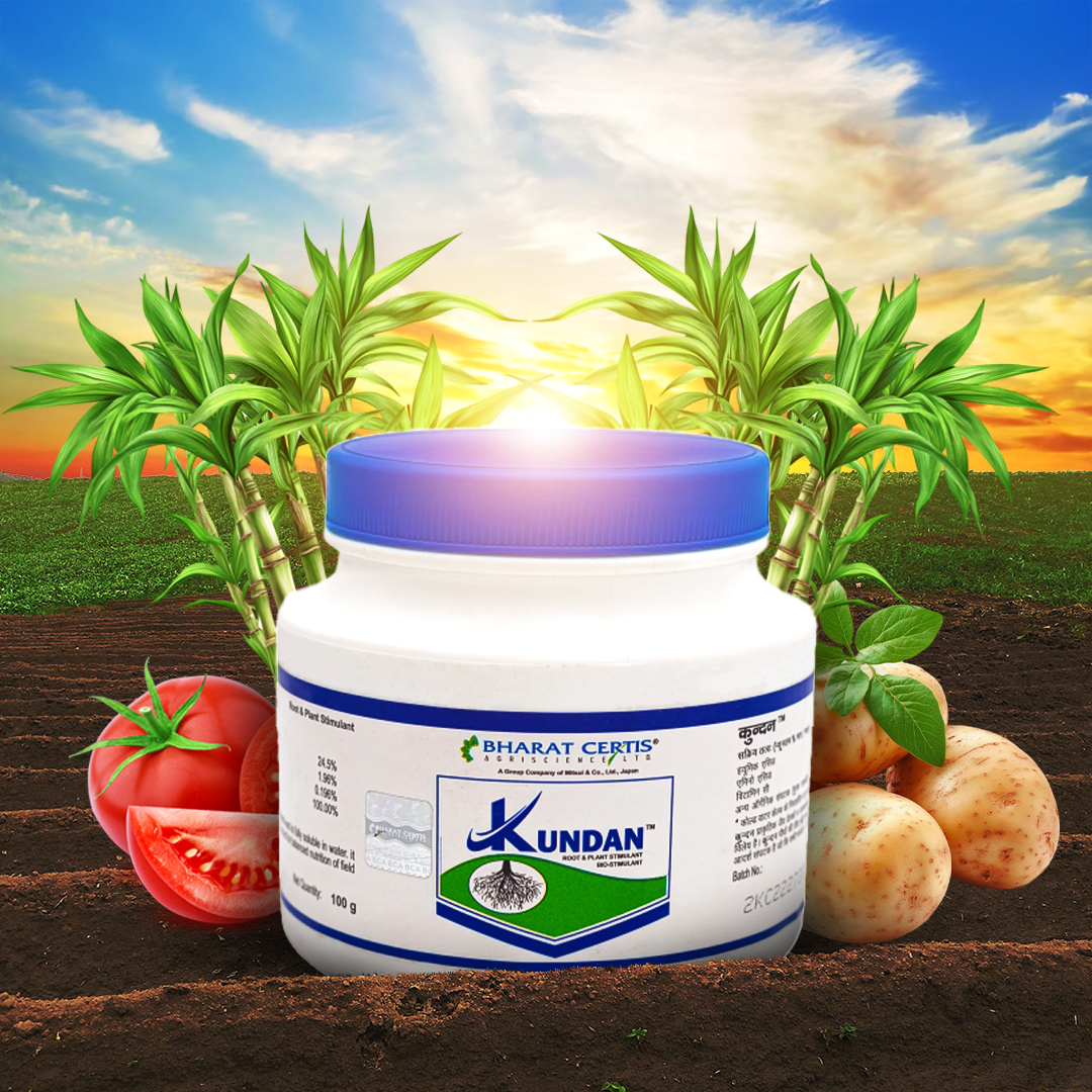 Kundan Balanced Nutrition for Crops